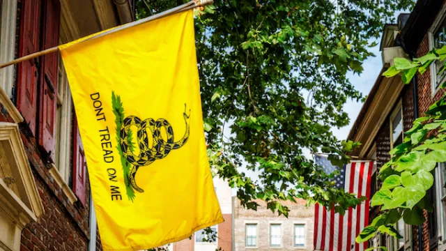 Gadsden flag with "Don't Tread on Me" written on it